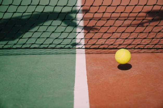 Тарпищев назвал российских теннисистов патриотами: «Испытываю чувство гордости»