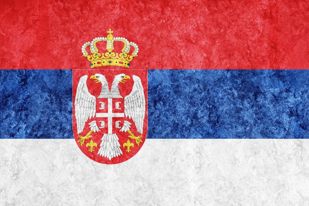 Руководство Футбольного союза Сербии подало в отставку после вылета с Евро-2024