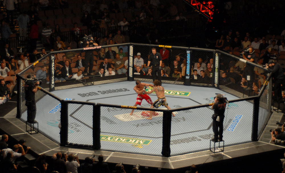 Глава UFC Уайт не исключил организацию боя с участием Нганну